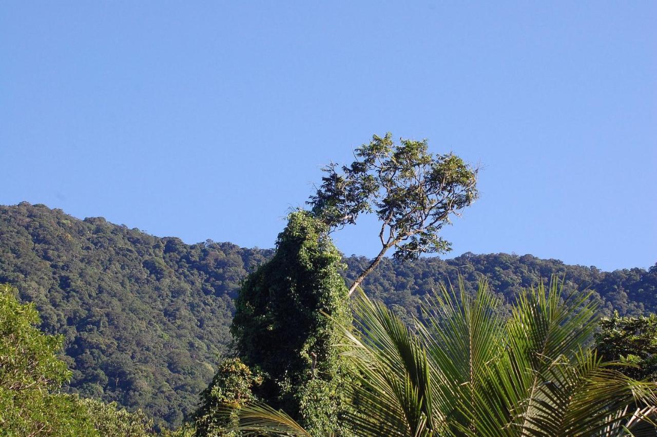 Pousada Toca Da Anita Maresias Sao Sebastiao  Bagian luar foto