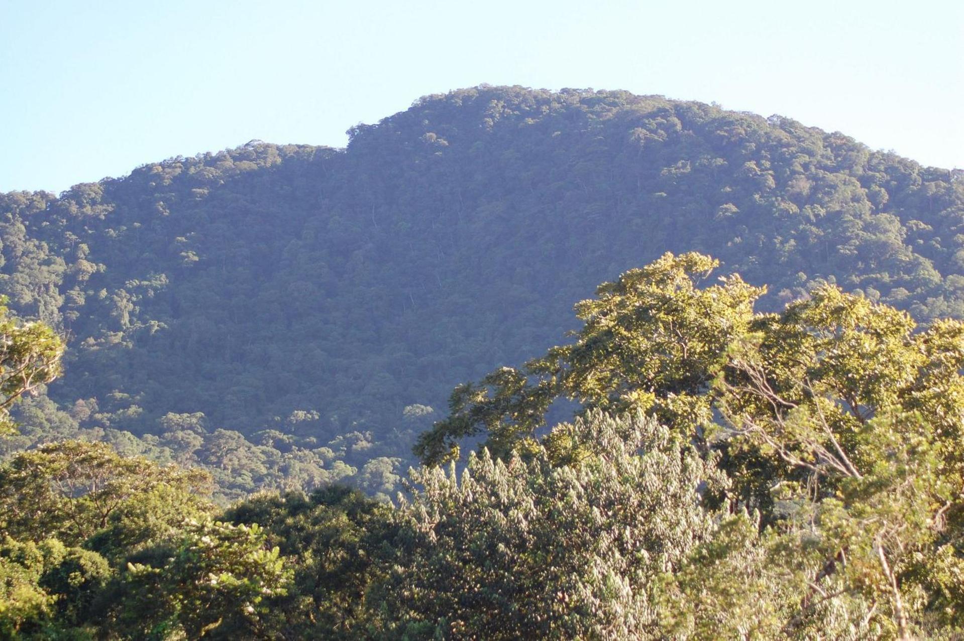 Pousada Toca Da Anita Maresias Sao Sebastiao  Bagian luar foto