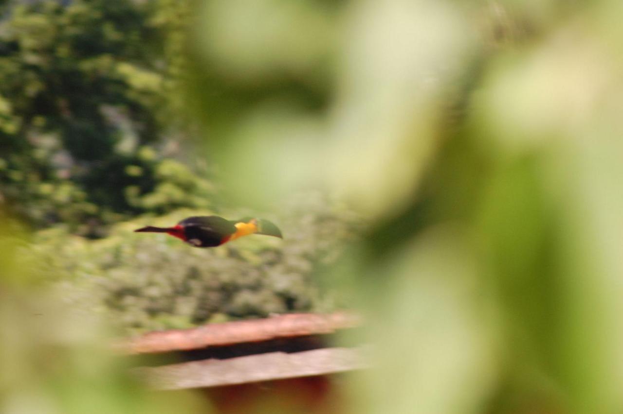 Pousada Toca Da Anita Maresias Sao Sebastiao  Bagian luar foto