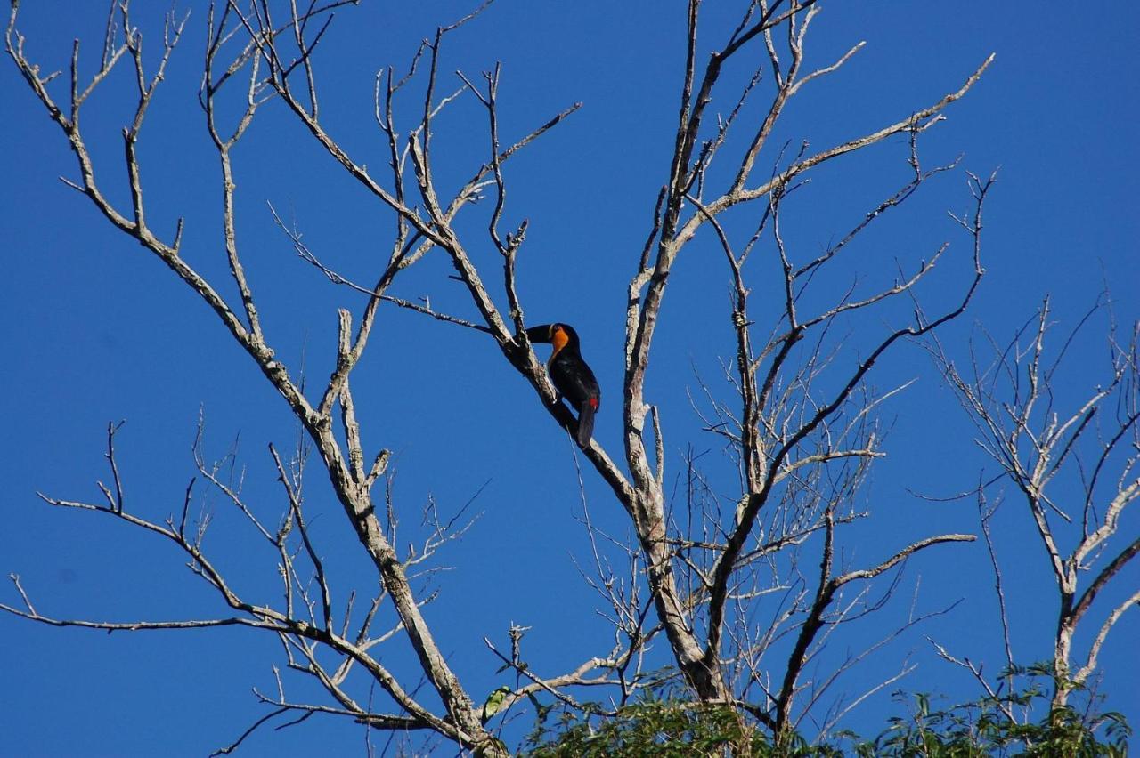 Pousada Toca Da Anita Maresias Sao Sebastiao  Bagian luar foto