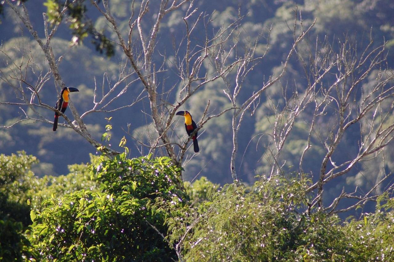 Pousada Toca Da Anita Maresias Sao Sebastiao  Bagian luar foto