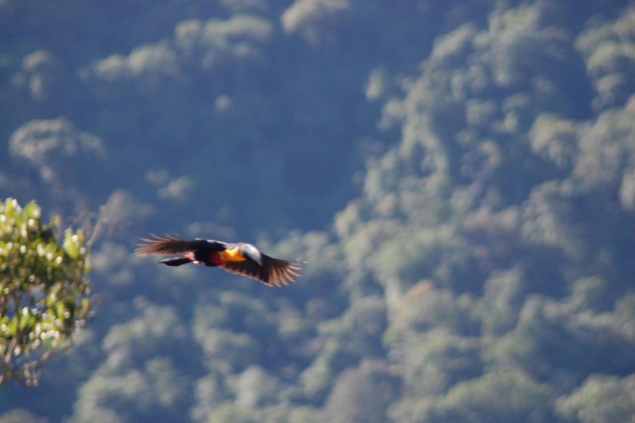 Pousada Toca Da Anita Maresias Sao Sebastiao  Bagian luar foto